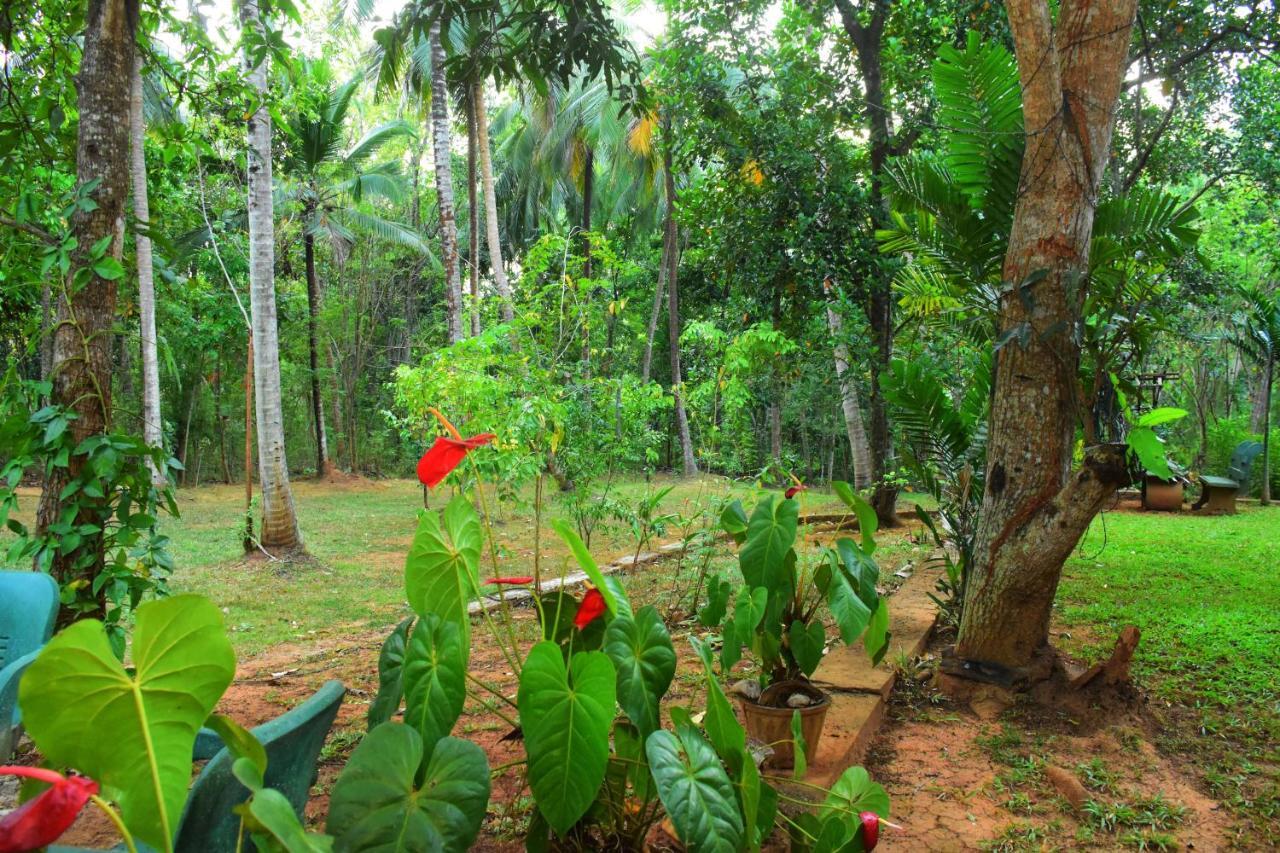 Leesa Villa Safari Resort Udawalawe Exterior foto